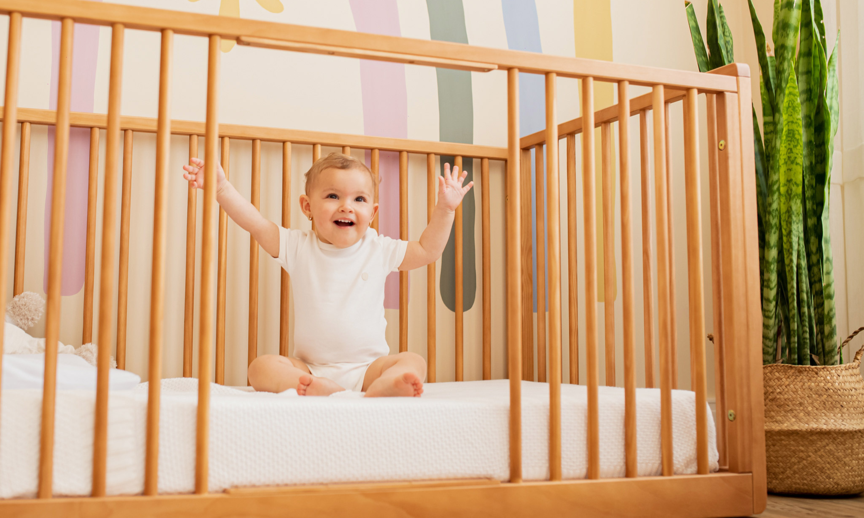 Convertible Crib Amazing Baby Cribs Shop Giggles Noble Convertible