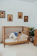 Selene Conversion Kit in Hazelnut