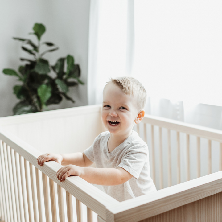 Retro Convertible Crib in Natural Washed