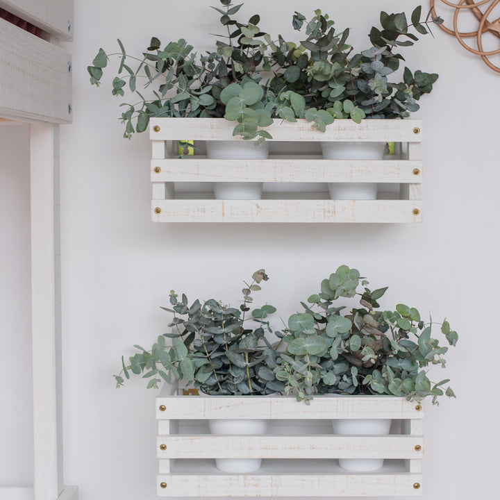 Market Box Shelf in Rustic White